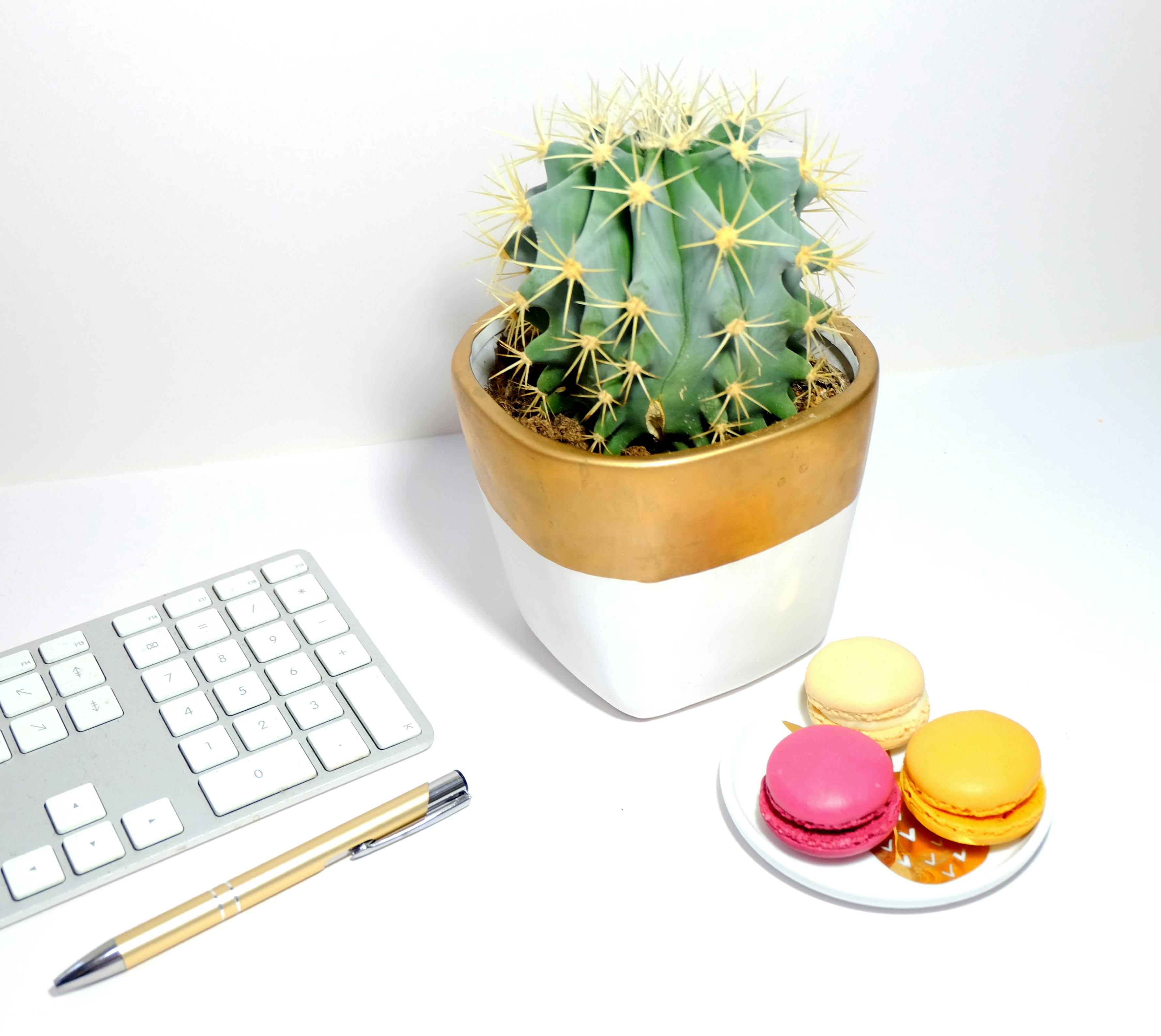 办公室布置时尚，配有盆栽仙人掌、彩色蛋白杏仁糖、键盘和白色书桌上的笔