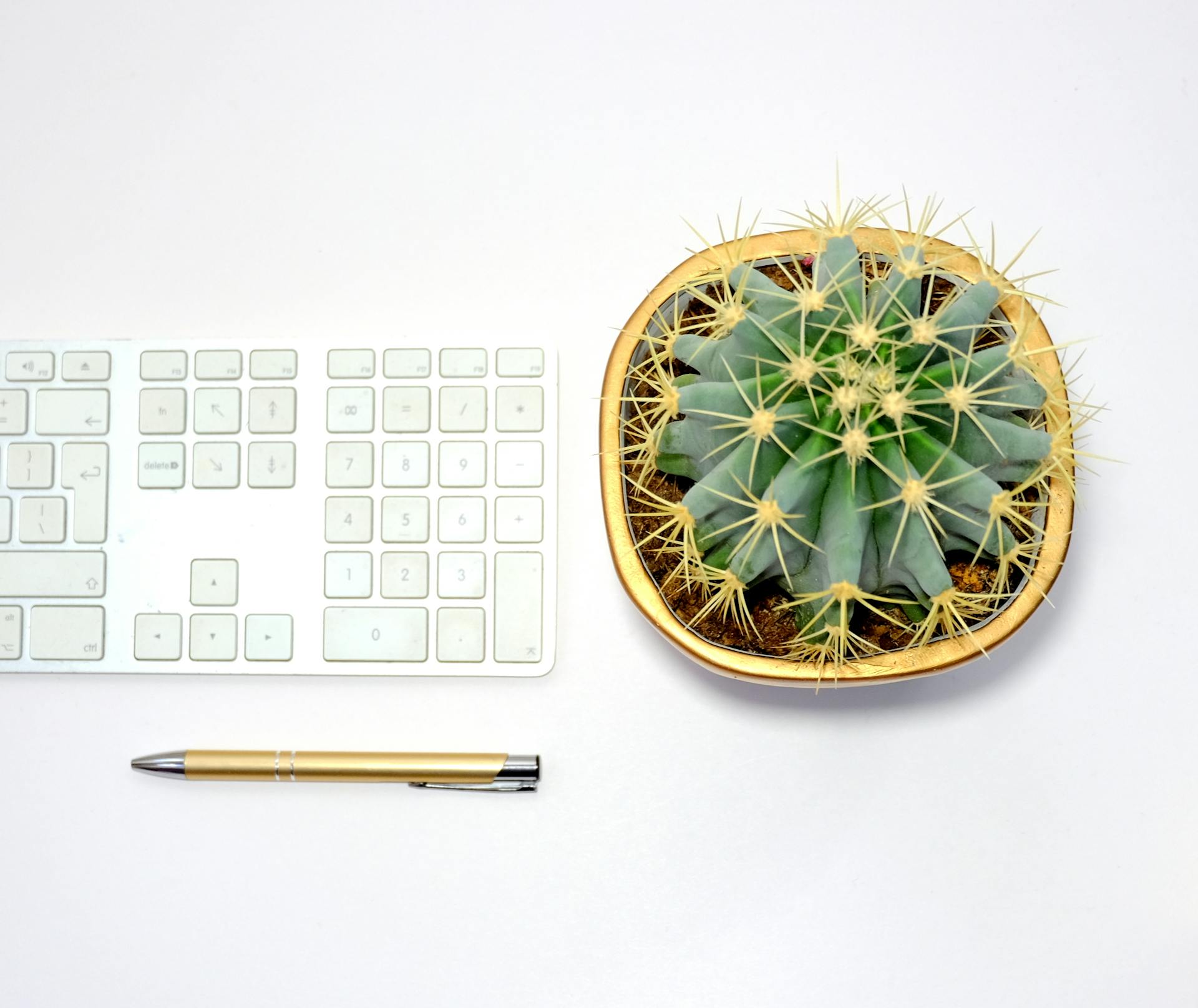 Top view of a clean desk setup with a cactus, keyboard, and pen, perfect for modern workspaces.