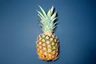 一张高质量的新鲜菠萝图像，以蓝色为背景，突出热带健康主题