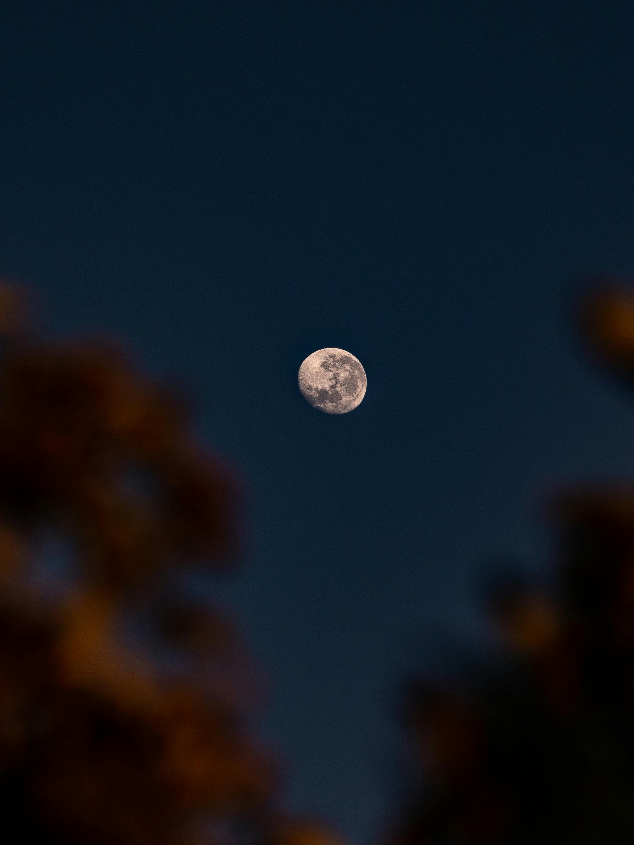 Crescent Moon in The Blue Sky · Free Stock Photo