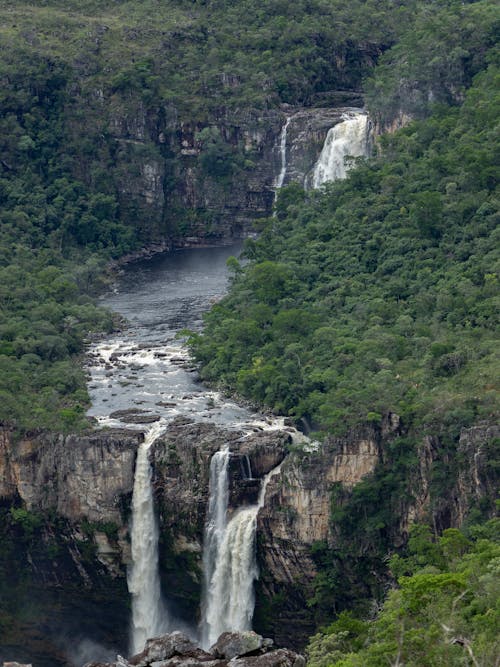 Foto d'estoc gratuïta de arbres, boscos, cascades