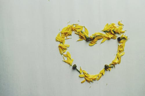 Heart Shape Yellow Flower Petals