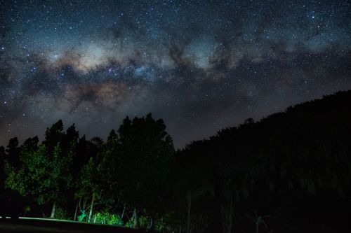 Free Breathtaking view of the Milky Way over lush green trees in a Brazilian forest. Stock Photo