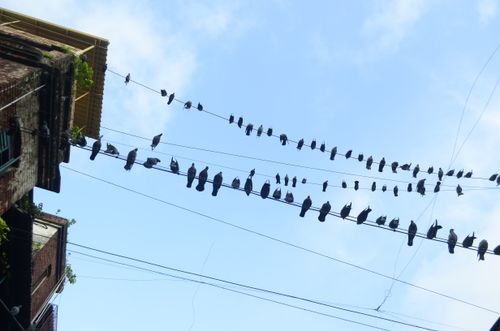Free stock photo of choir Stock Photo