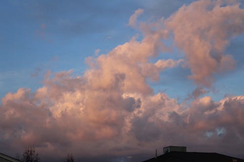 Free stock photo of beautiful sunset, cloud, colors