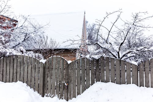 Foto profissional grátis de árvores sem folhas, cerca de madeira, chão coberto de neve