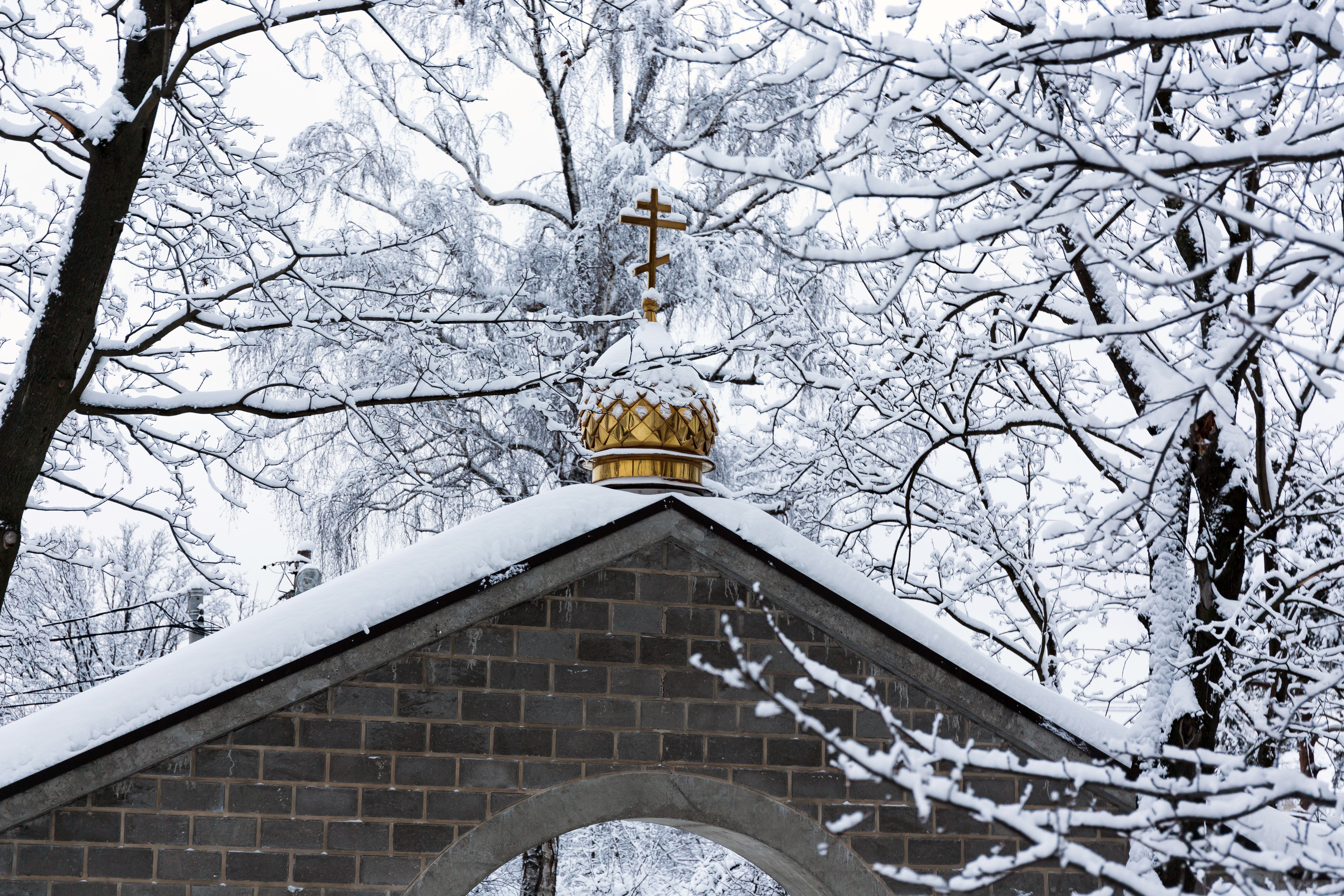 A Gate in Winter · Free Stock Photo