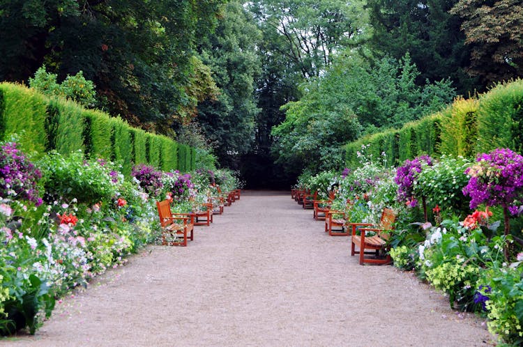 Symmetrical View Of A Path In A Beautiful Public Garden 