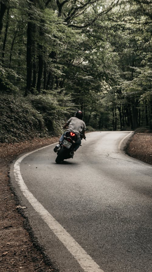 Person Riding Motorcycle on a Road of a Forest