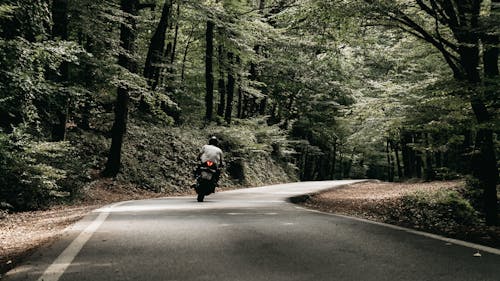 Photo of a Man Riding a Motorcycle Near Trees