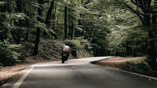 Free A man riding a motorcycle on a winding forest road in Istanbul, Turkey. Stock Photo