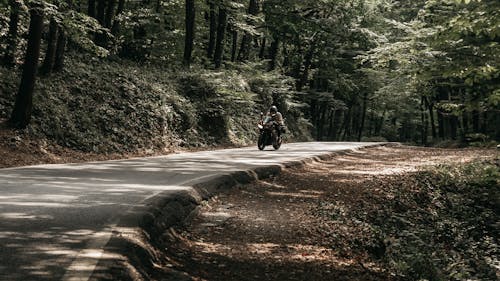 冒險, 小路, 摩托車 的 免費圖庫相片