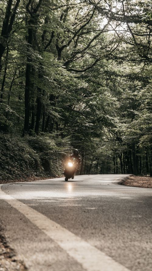 Free Motorcyclist riding through a lush forest road in Istanbul, capturing the essence of adventure and nature. Stock Photo