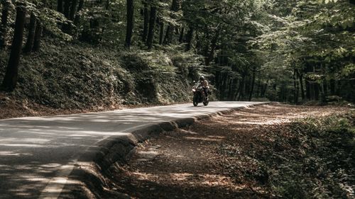 Free A motorbike rider navigating a winding forest road in daylight. Stock Photo