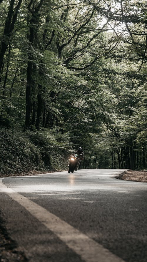 Person Riding Motorcycle on a Road of a Forest