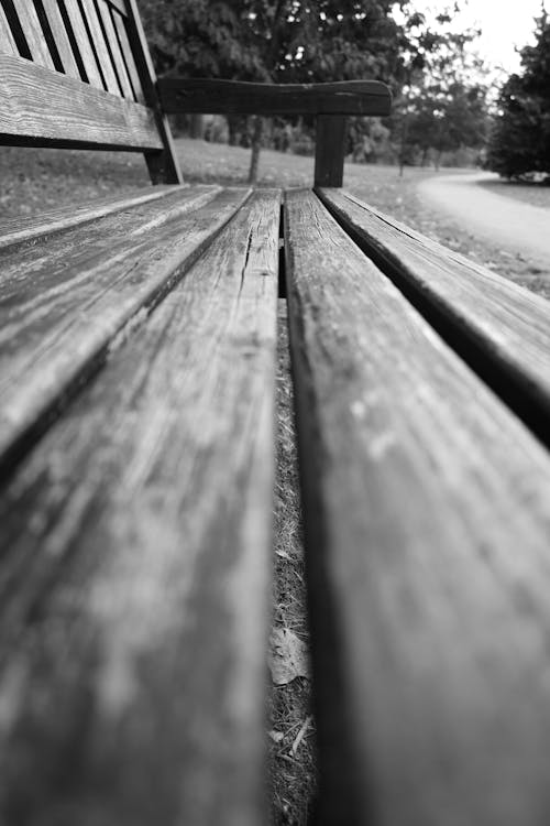 Free stock photo of autumn leaves, bench, black and white