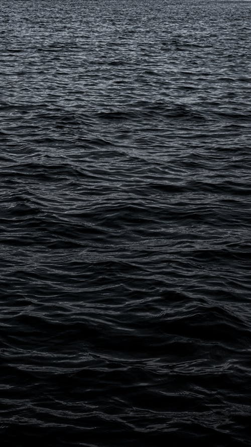 Free Calm Water on the Sea Stock Photo