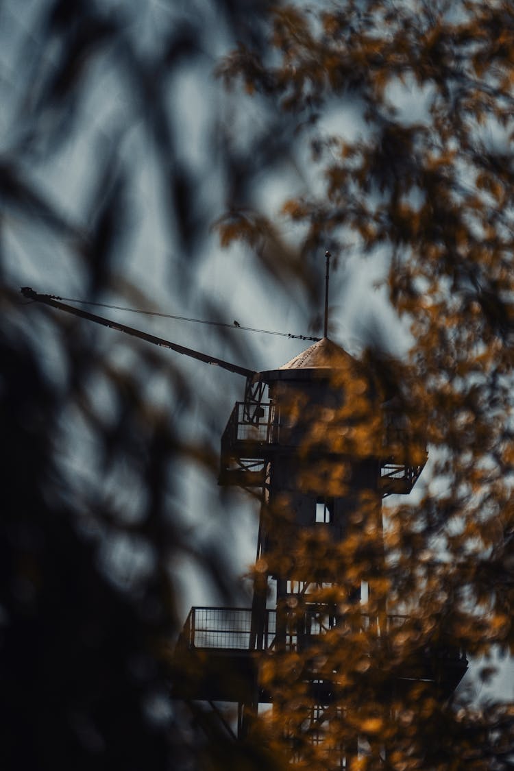 A Watchtower Behind Trees