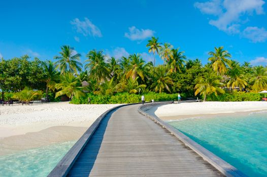 Wooden boardwalk surrounded by lush tropical palms leading to a pristine, sandy beach under a bright blue sky.