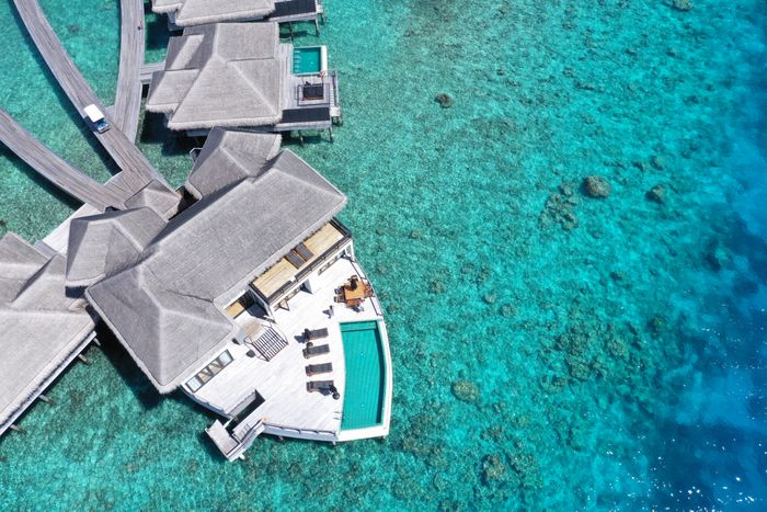 Maldives experience