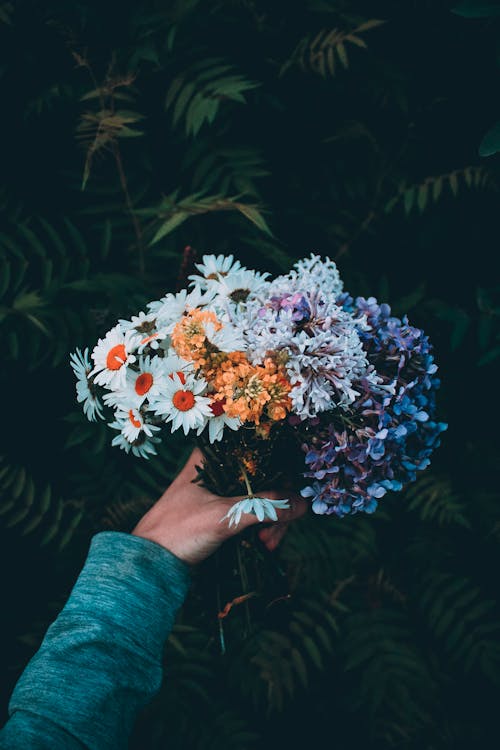 Fotobanka s bezplatnými fotkami na tému farebný, flóra, kvetinový aranžmán