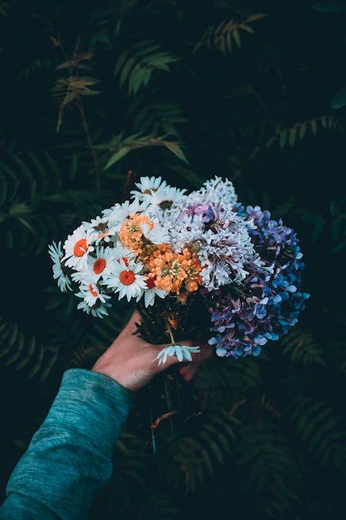 A Person Holding Different Kinds of Flowers