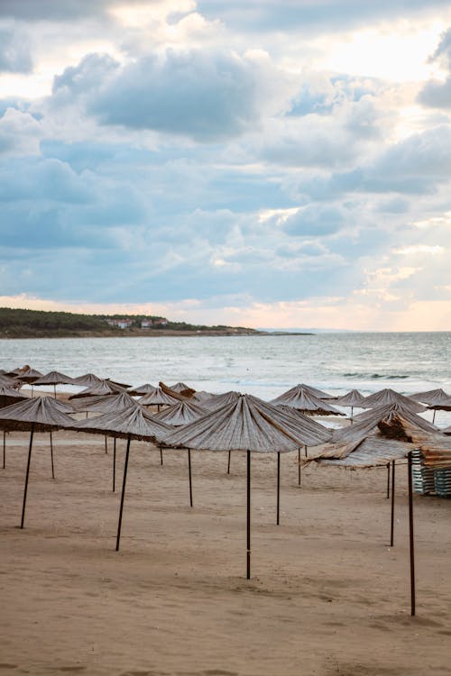 Brown Wooden Umbrella near the Ocean