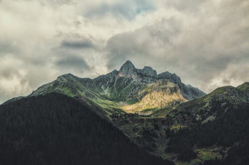 бесплатная Зеленая и коричневая гора днем Стоковое фото