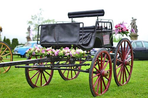 Fleurs Roses Et Violettes Sur Chariot Noir