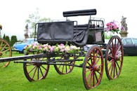 Pink and Purple Flowers on Black Carriage