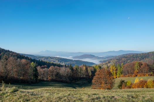 Beautiful mountain landscape in autumn with trees, mist, and blue sky.