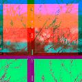 Album art for The Ashby Sessions — abstract film photo by Alexey Demidov on Pexels
