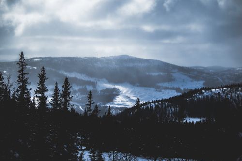 Free A tranquil winter scene capturing snow-capped mountains and evergreen trees under a cloudy sky. Stock Photo