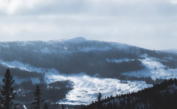 在多云的冬日天空下，白雪覆盖的山脉呈现出壮丽的景色