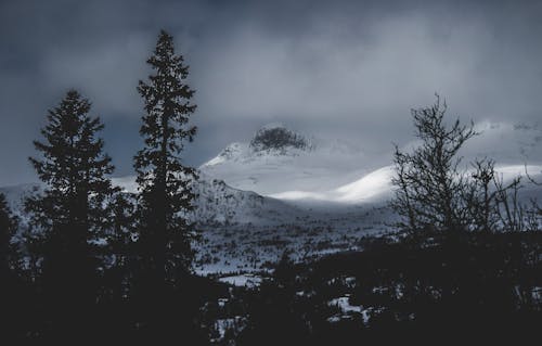 Glacier Mountains Near the Forest