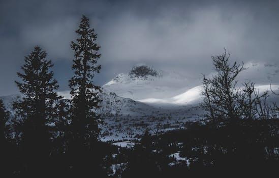 A breathtaking view of snow-capped mountains and forest under moody winter skies.