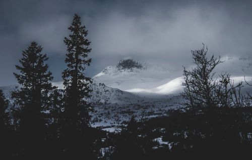 Free A breathtaking view of snow-capped mountains and forest under moody winter skies. Stock Photo