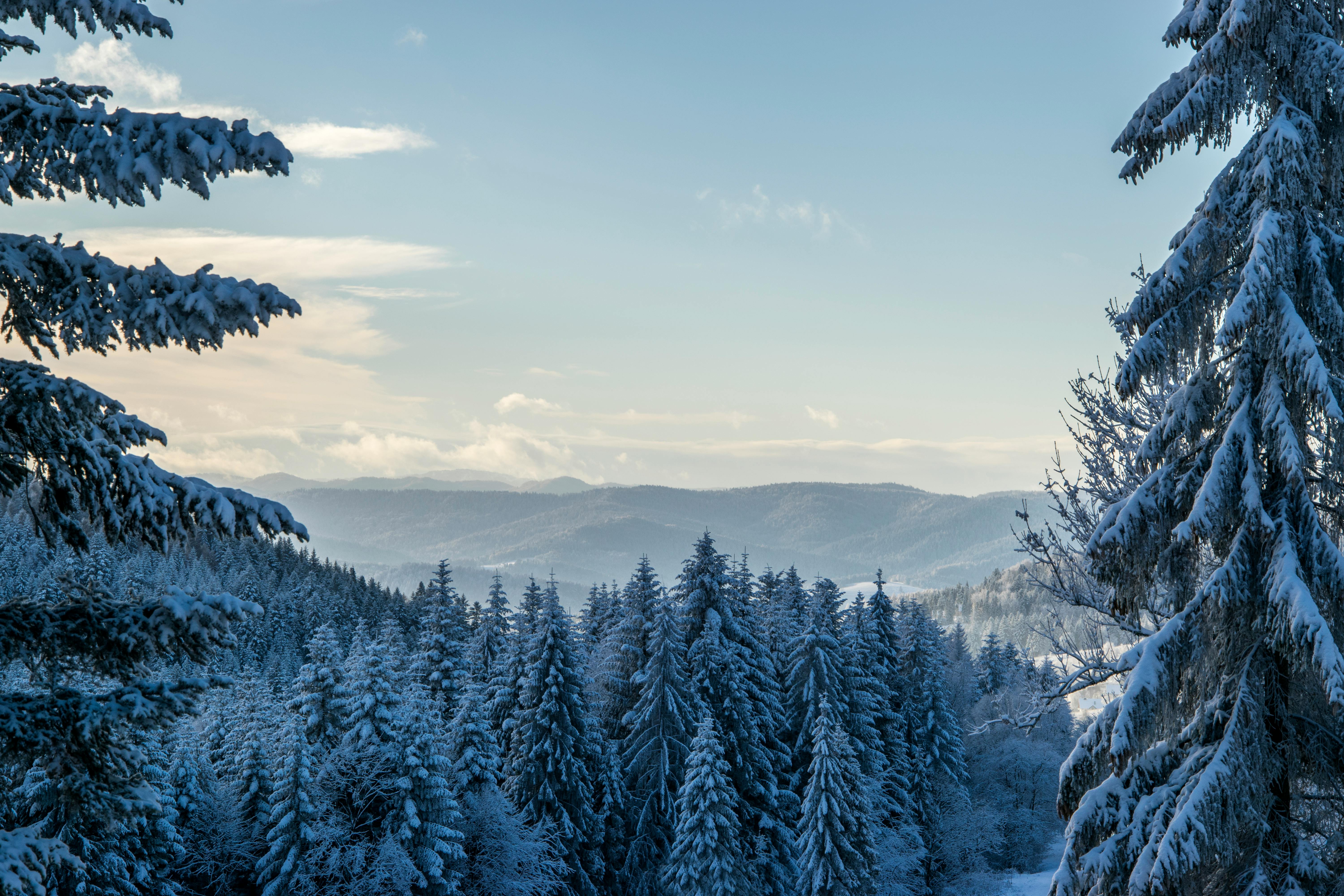 winter landscape scenes