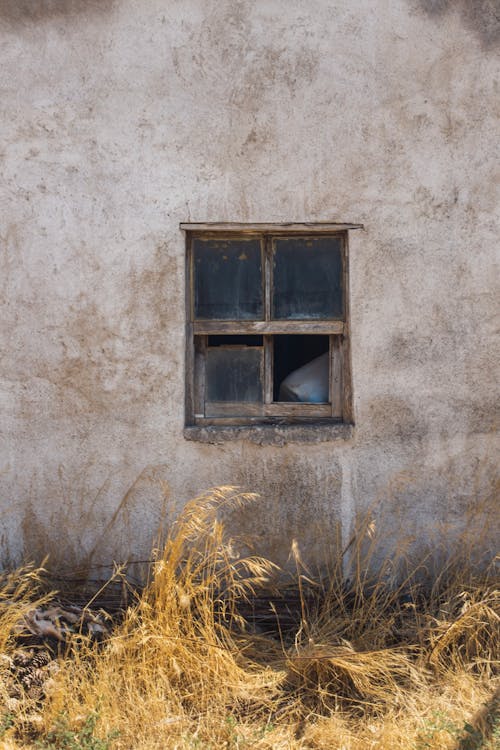 ガラスの窓, 古い, 垂直ショットの無料の写真素材