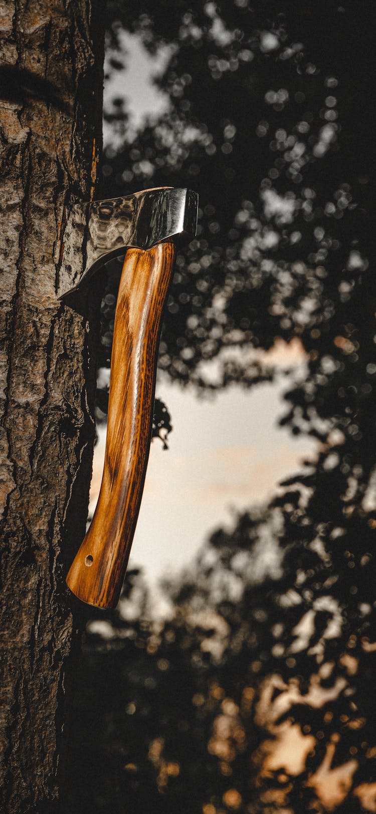 An Axe On A Tree