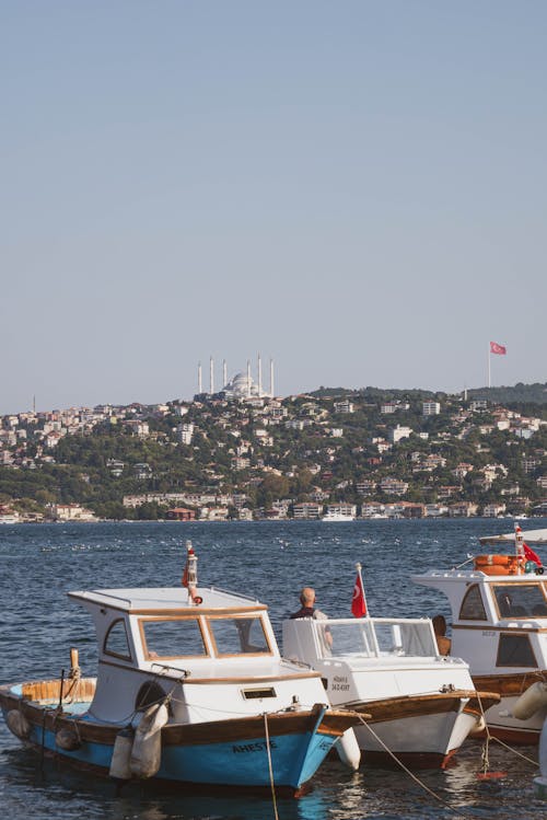 Motorboats Docked on the Riverside