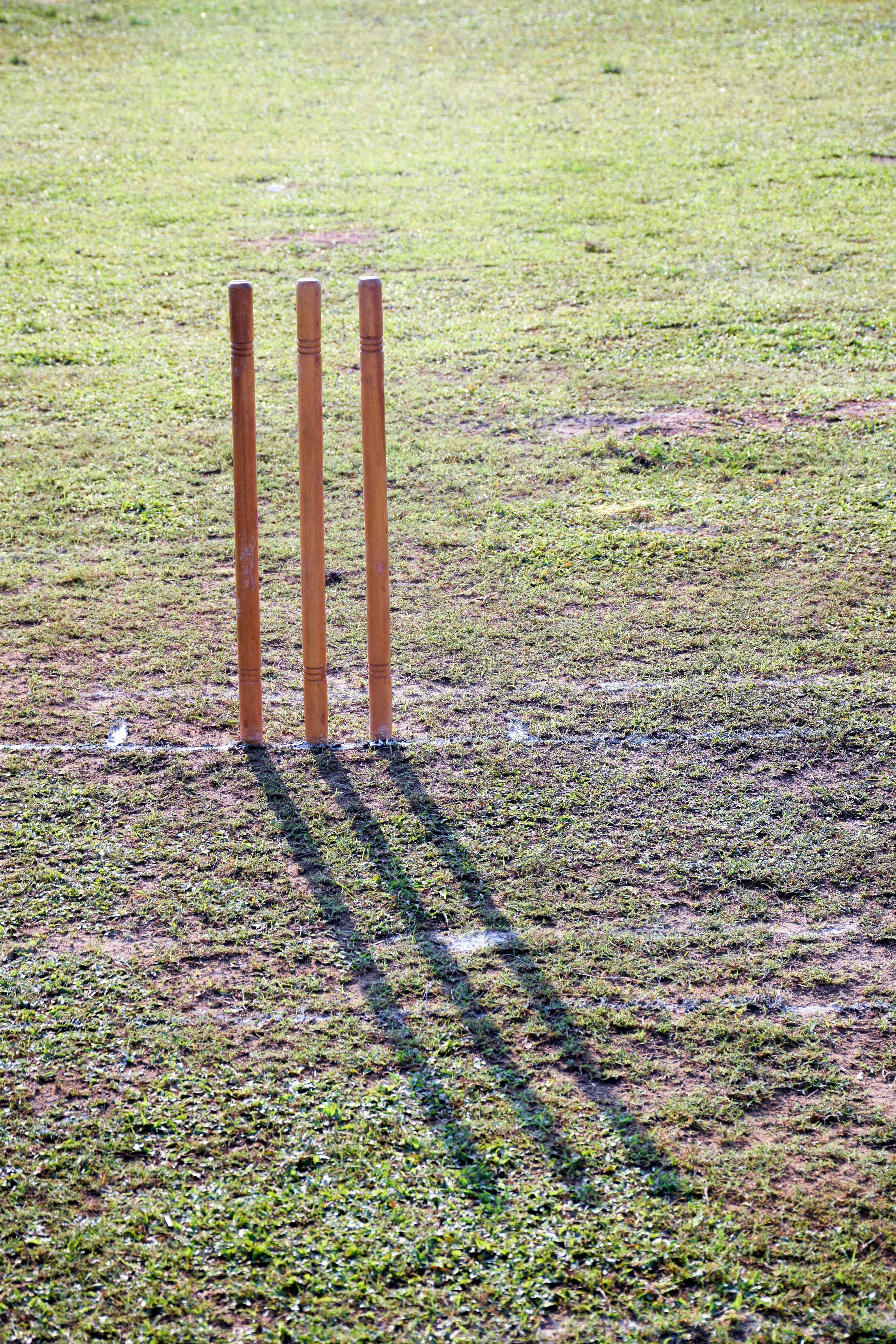 Free stock photo of cricket, green, pitch