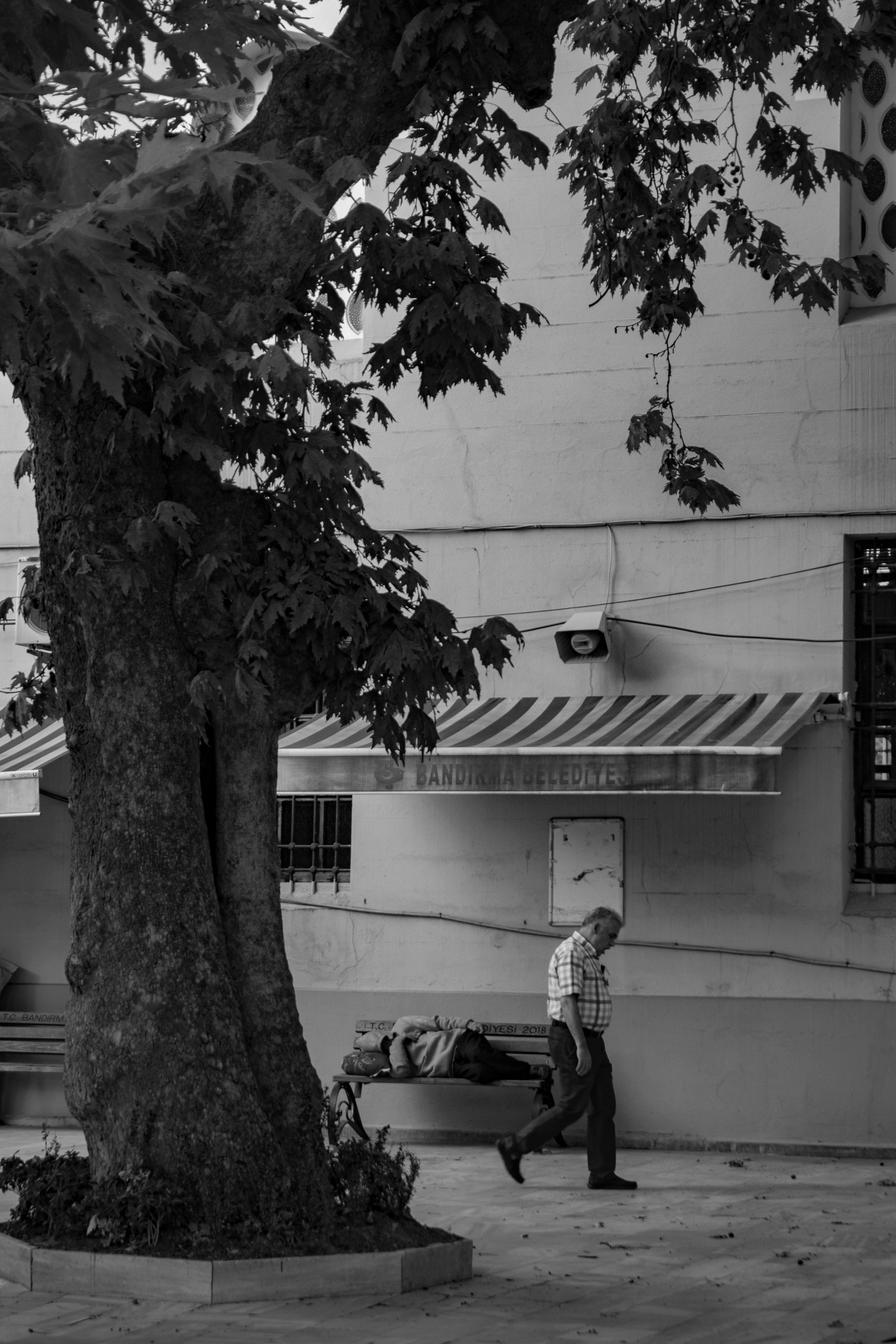 Безкоштовне стокове фото на тему «архітектура, Будівля, вертикальні постріл» стокове фото