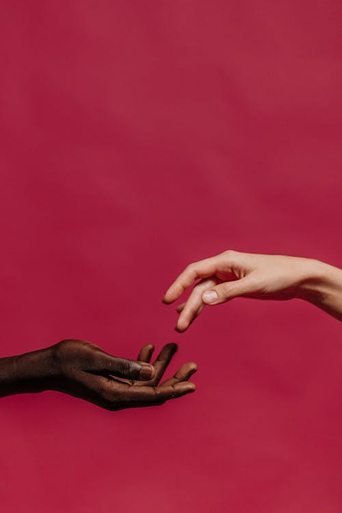 Hands in Front of a Pink Background