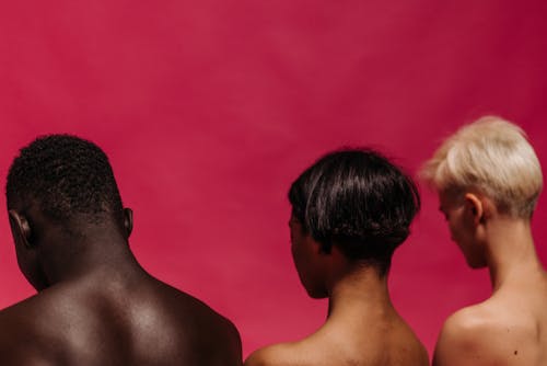 Gratis stockfoto met achteraanzicht, Afro-Amerikaanse vrouw, blanke vrouw