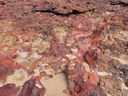 Foto stok gratis geologi, kasar, merah
