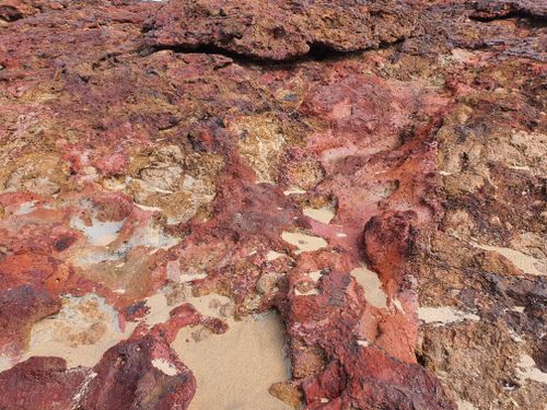Free Close-up view of vibrant rock formations showcasing natural textures and colors in Newhaven, VIC, Australia. Stock Photo