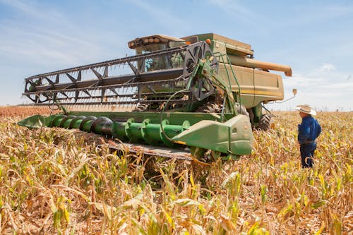 Foto d'estoc gratuïta de agricultura, camps de cultiu, fent la collita