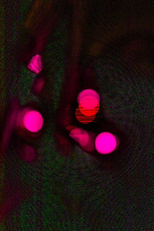 Pink Bokeh Lights in Close-up Photography