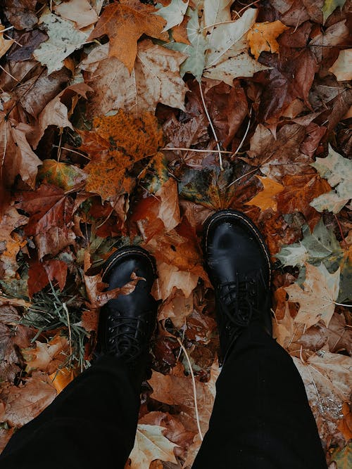 Photo of Black Boots on Dry Leaves